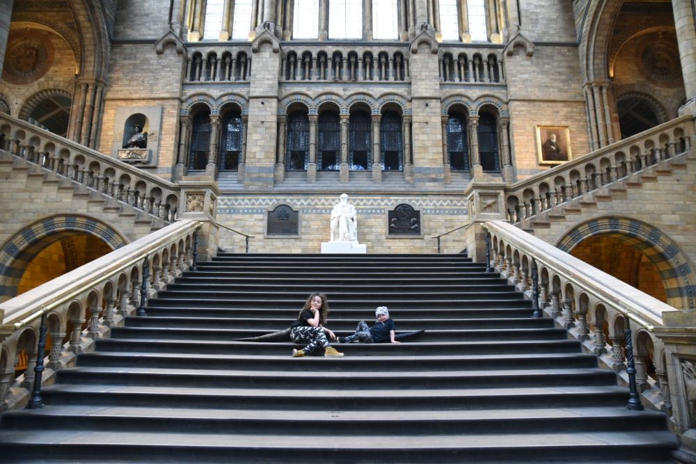 hintze hall