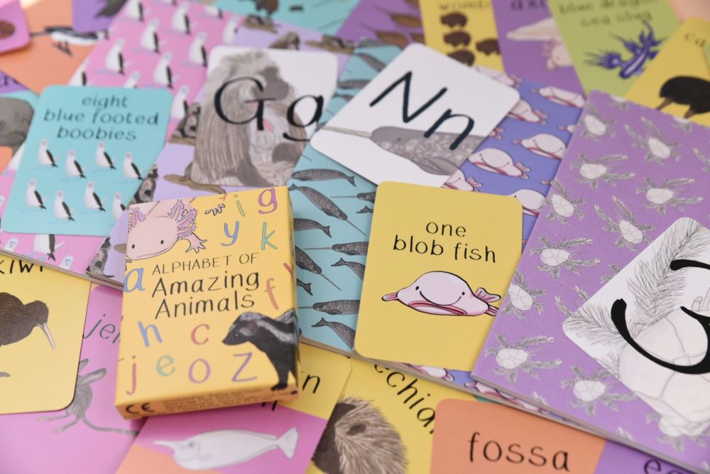 Selection of letter and number cards shown with animal notebooks