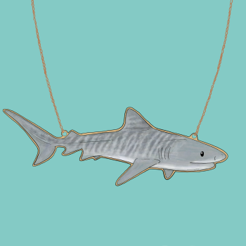 Tiger Shark Necklace 
