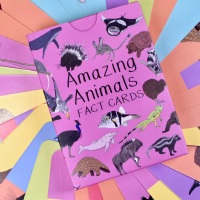 Amazing Animal Fact Cards Set 2