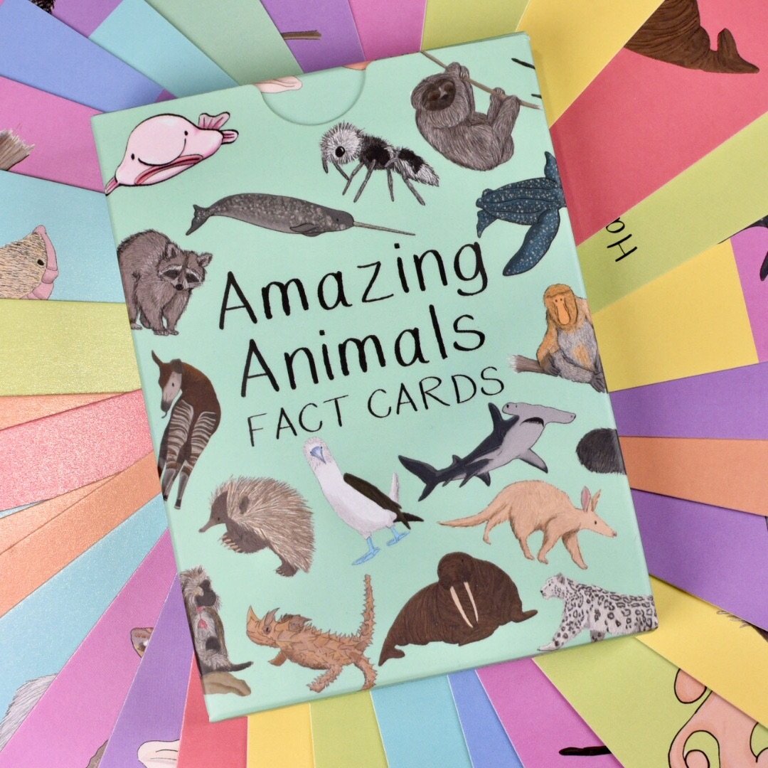 Amazing Animal Fact Cards Set 1