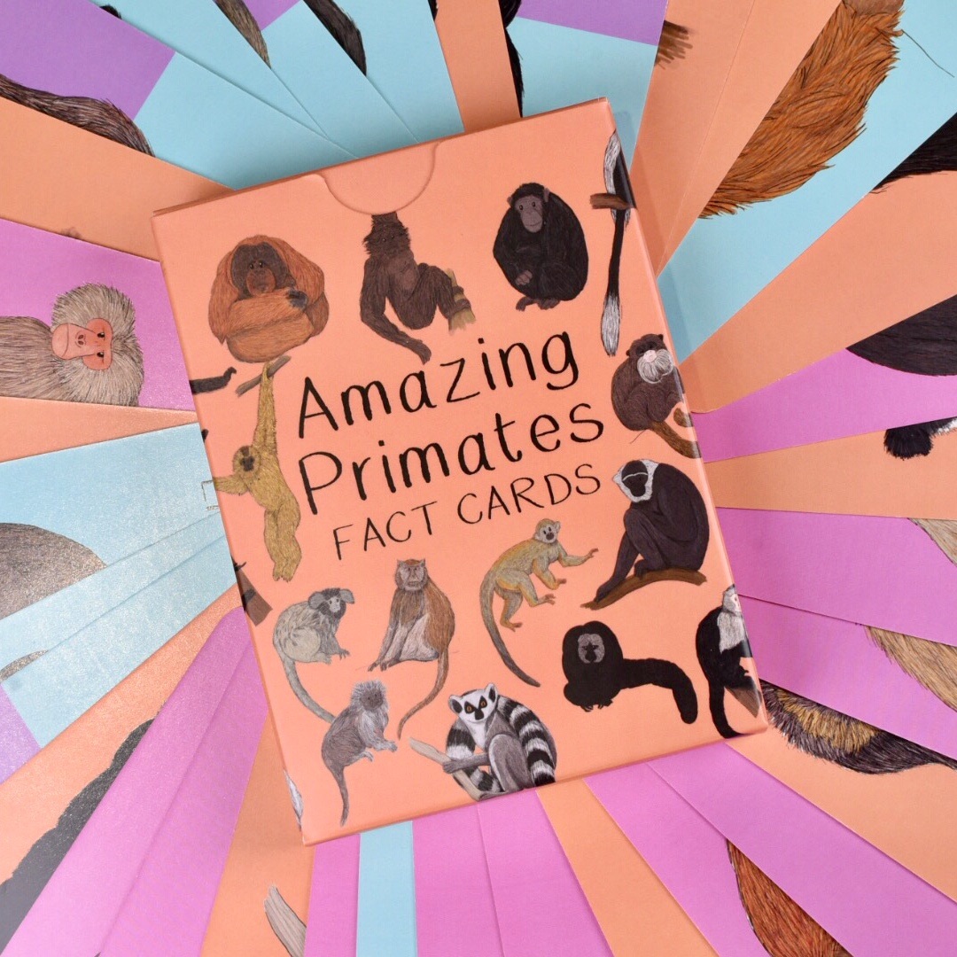 Amazing Primates Fact Cards