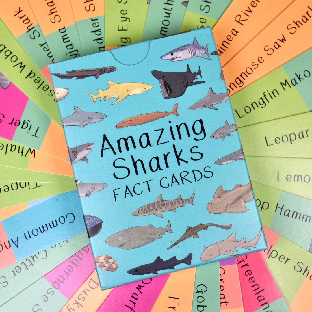 Amazing Sharks Fact Cards