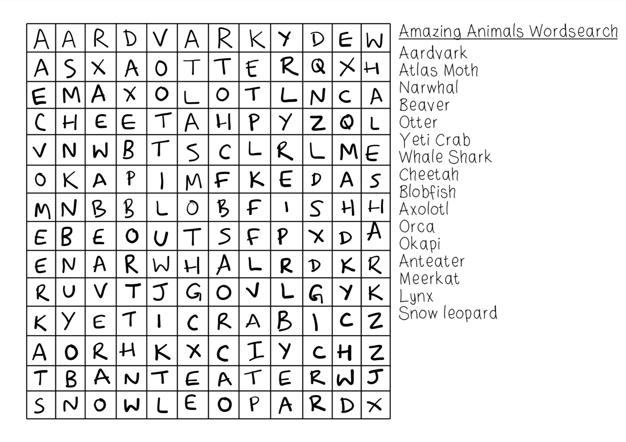 Amazing animal wordsearch
