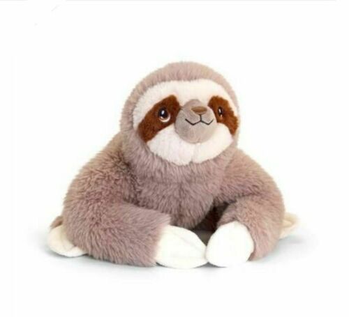 cuddly sloth