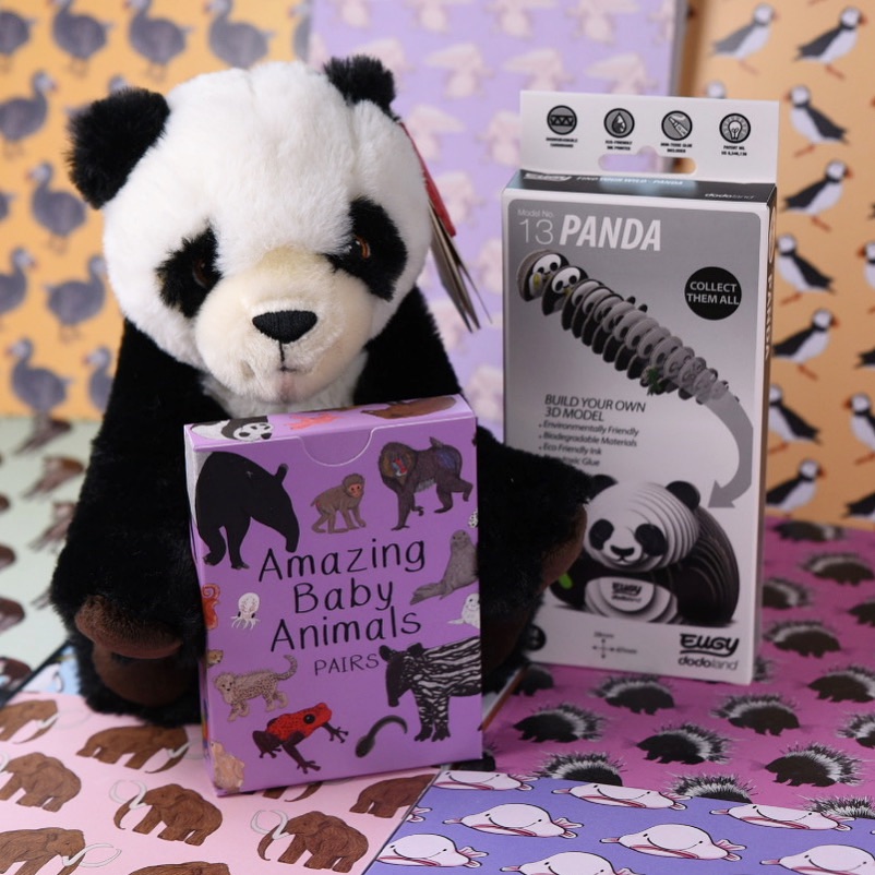 Amazing Panda Gift Set 