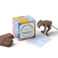 Play in Choc - Dinosaurs