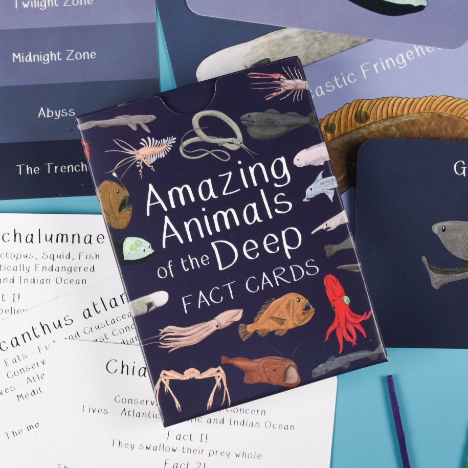 Preorder - Amazing Animals of the Deep Fact Cards