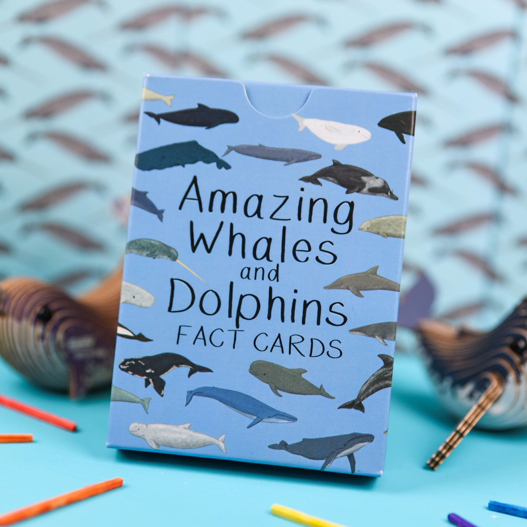 Preorder - Amazing Whales and Dolphin Fact Cards