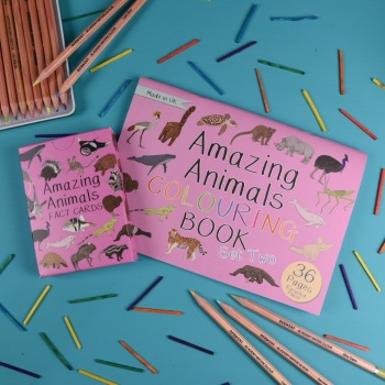 Amazing Animal Fact Cards Set 2 and Colouring Book