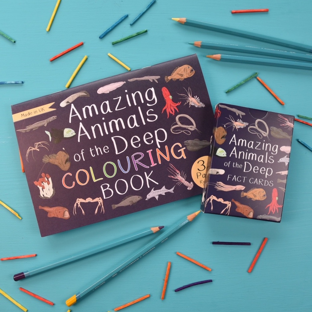 Amazing Animals of the Deep Fact Cards and Colouring Book