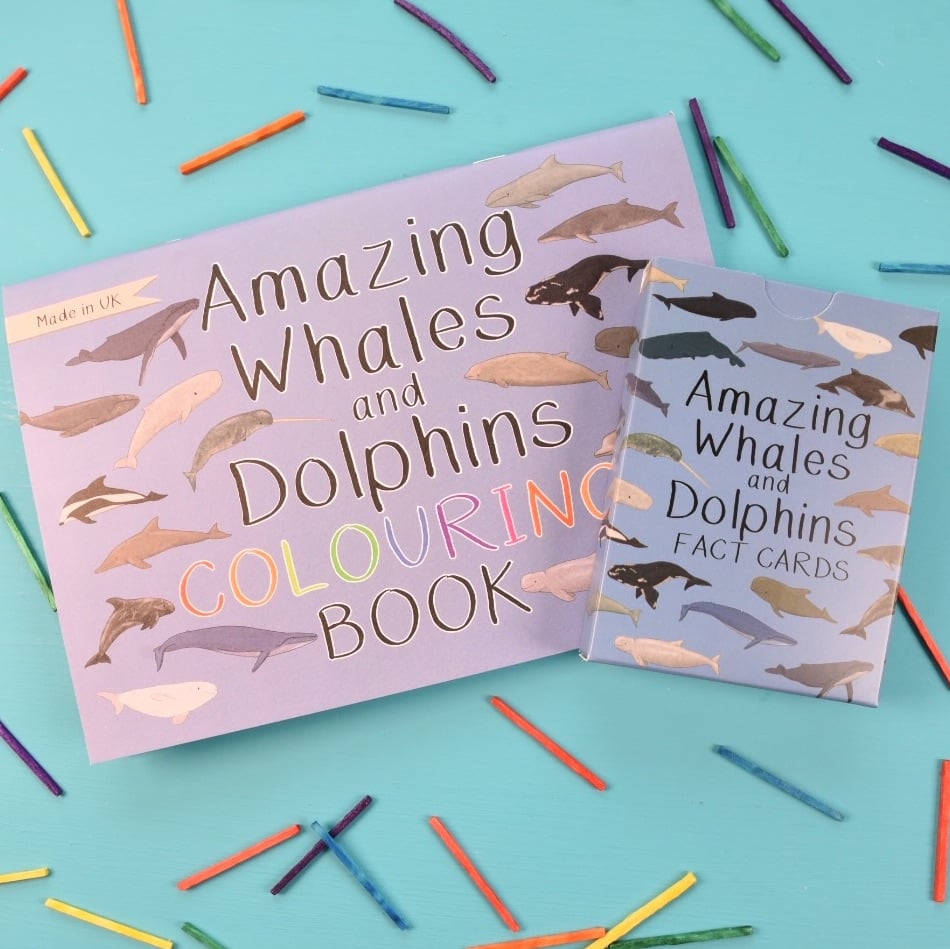 Amazing Whales and Dolphins Fact Cards and Colouring Book