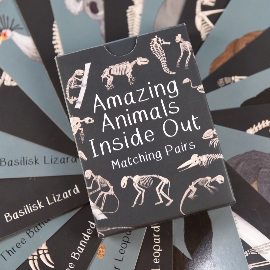 Amazing Animals Inside Out Pairs Card Game