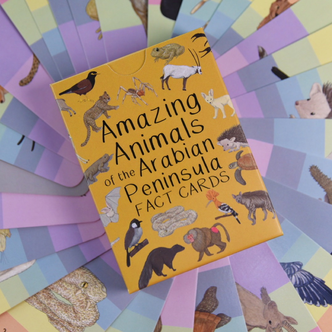 Preorder - Amazing Animals of the Arabian Peninsula Fact Cards