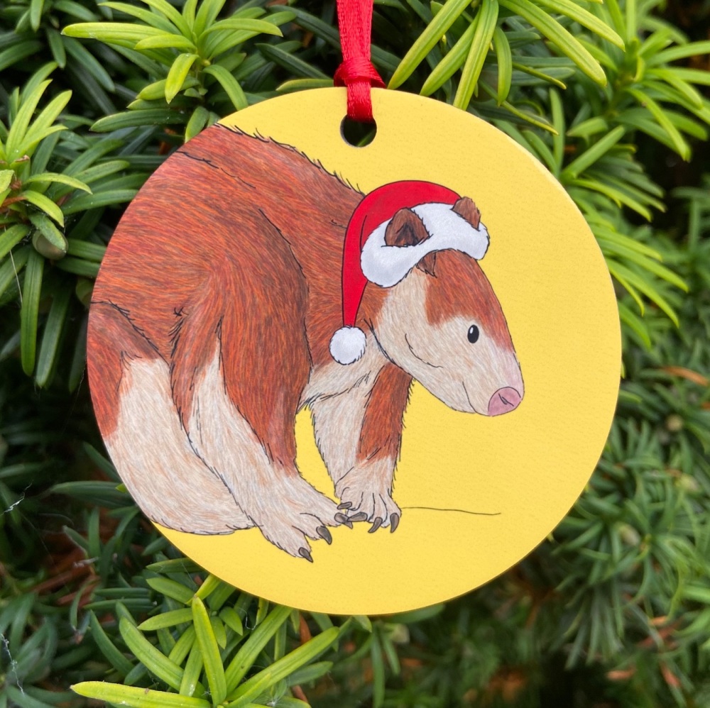 Tree Kangaroo Christmas Decoration