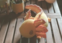 Large Yellow Weighted Axolotl Plush
