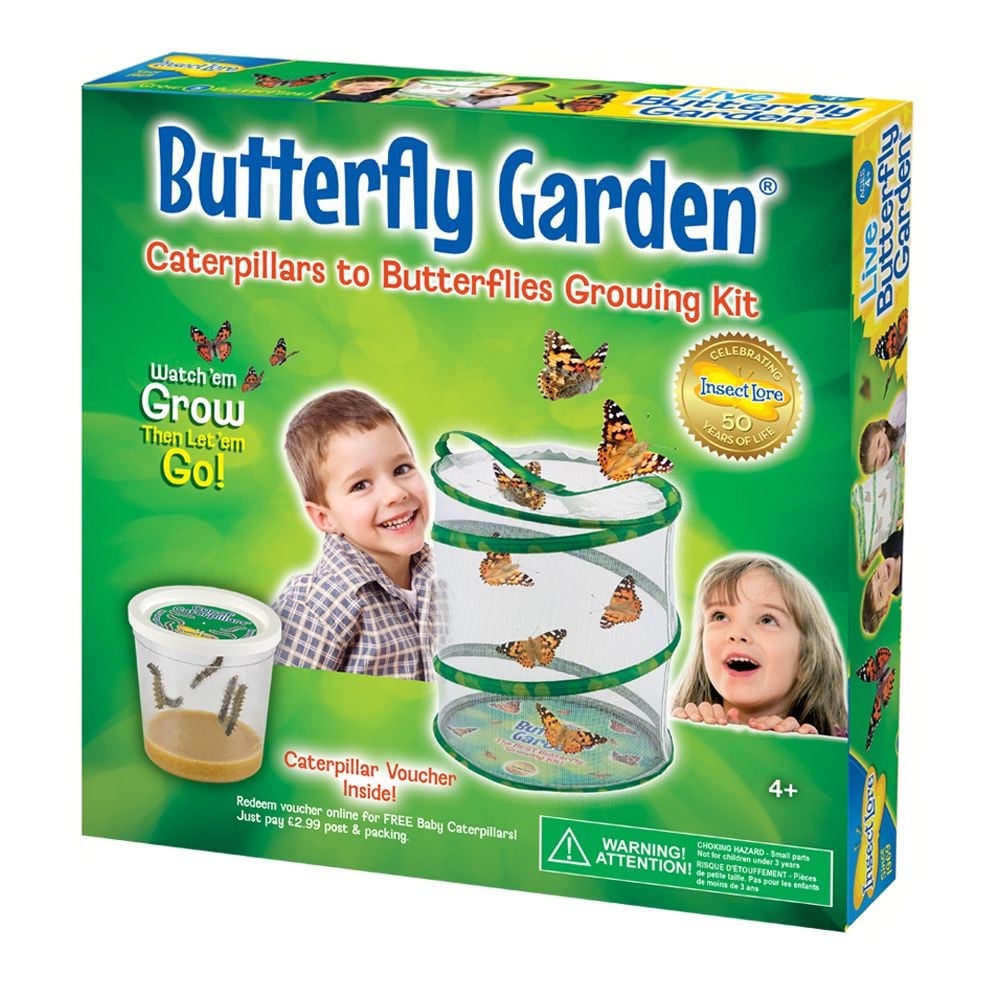 Butterfly Garden 