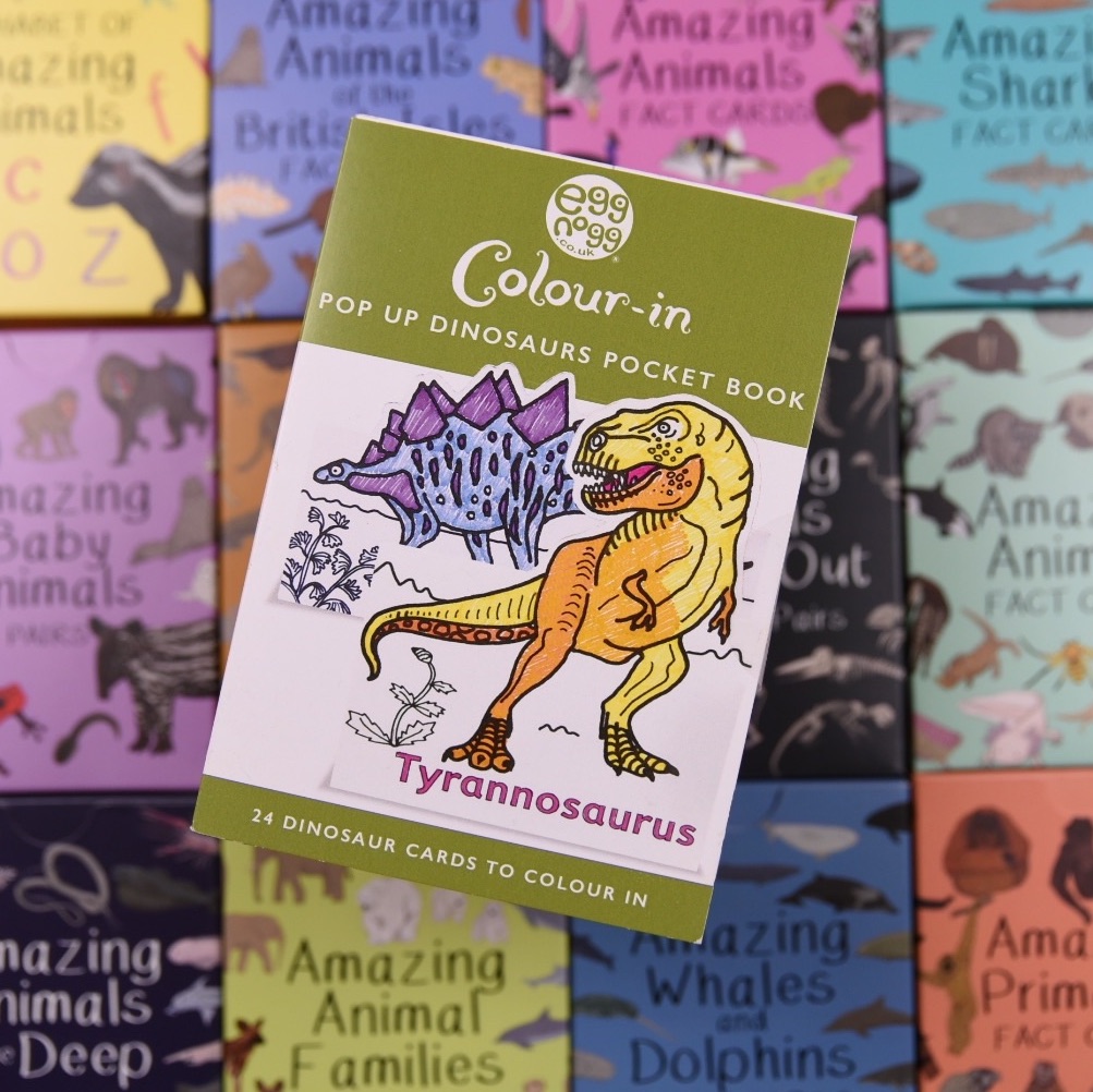 Dinosaur Colouring Card Book