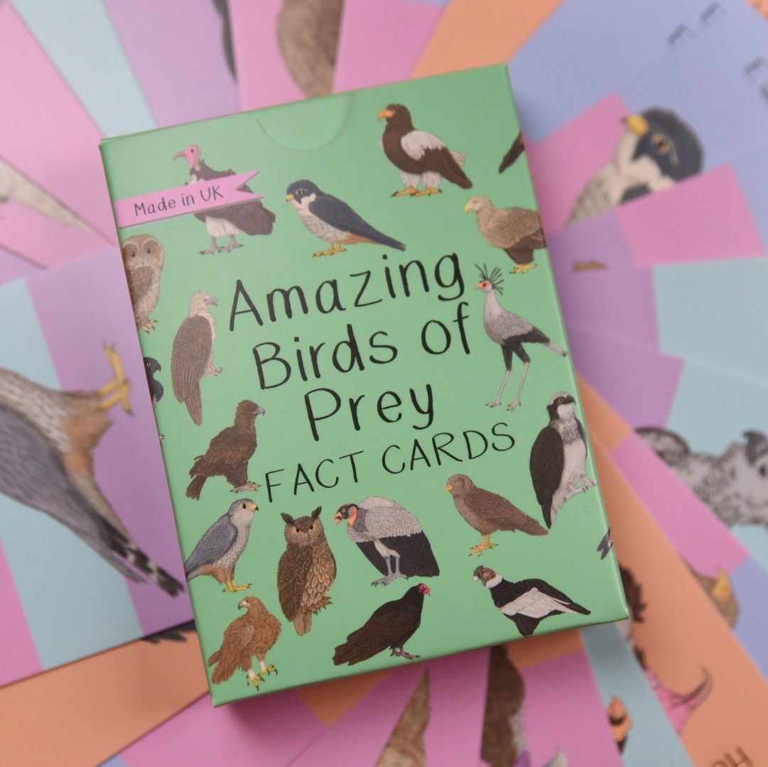 *Preorder* Amazing Birds of Prey Fact Cards *Preorder*