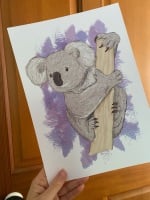 Koala A4 Print