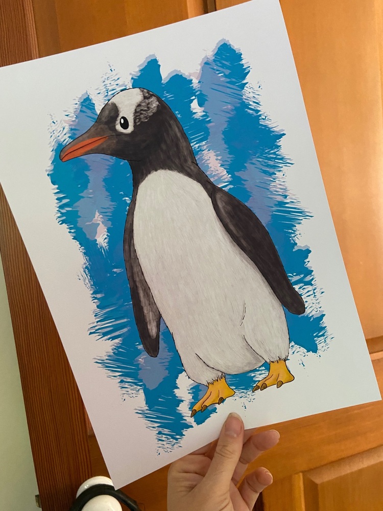 Gentoo Penguin A4 Print