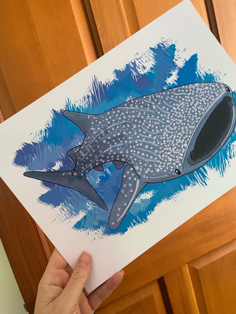 Amazing Animals Whale Shark A4 art print.