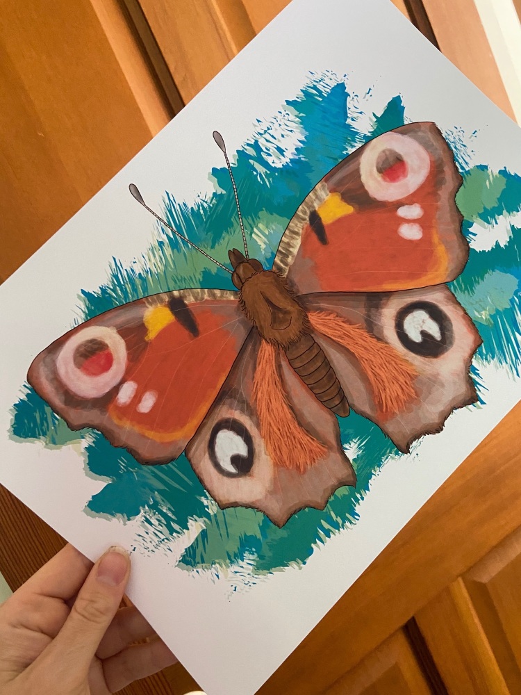 Peacock Butterfly A4 Print