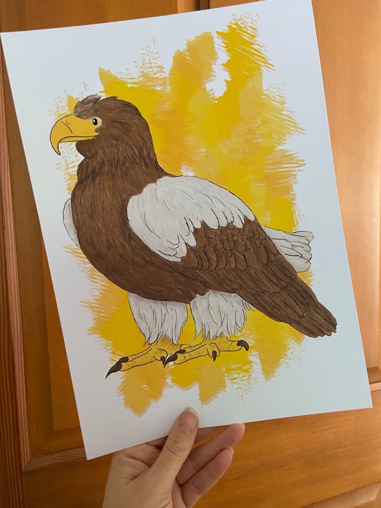 Stellers Sea Eagle A4 Print