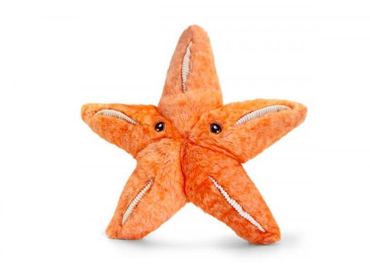 25cm Eco Starfish Soft Toy