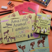 Amazing Animal Families Game and Colouring Book