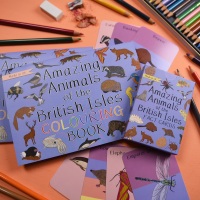 Amazing Animals of the British Isles Fact Cards and Colouring Book