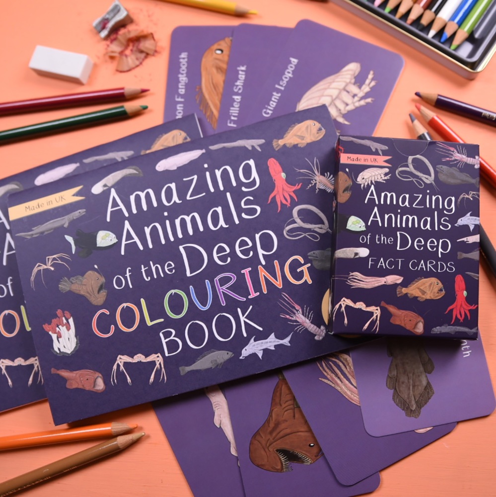 Amazing Animals of the Deep Fact Cards and Colouring Book