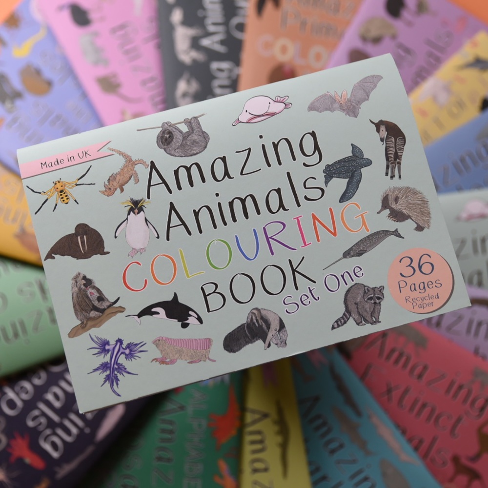 Preorder - Amazing Animals Set One Colouring Book