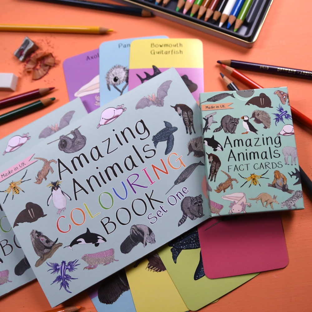 Amazing Animals Set One Fact Cards and Colouring Book