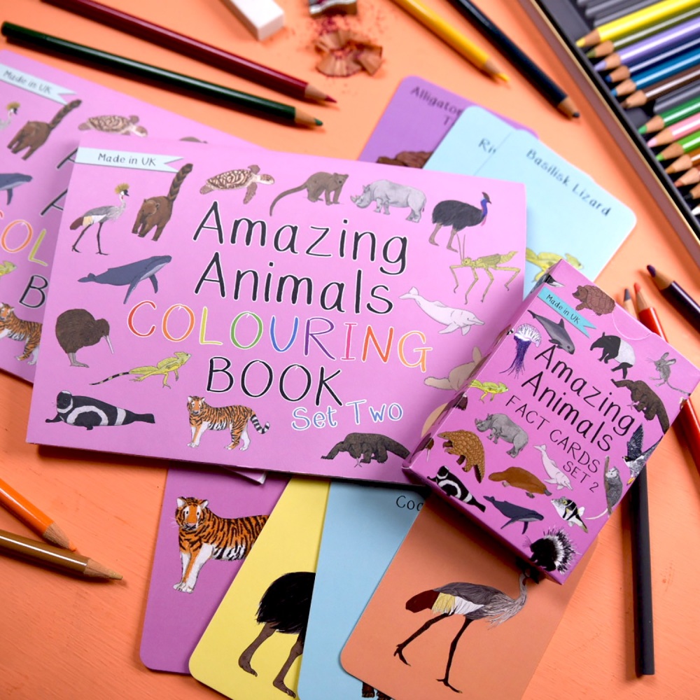 Amazing Animals Set Two Fact Cards and Colouring Book