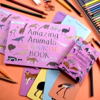 Amazing Animal Set Two Fact Cards and Colouring Book
