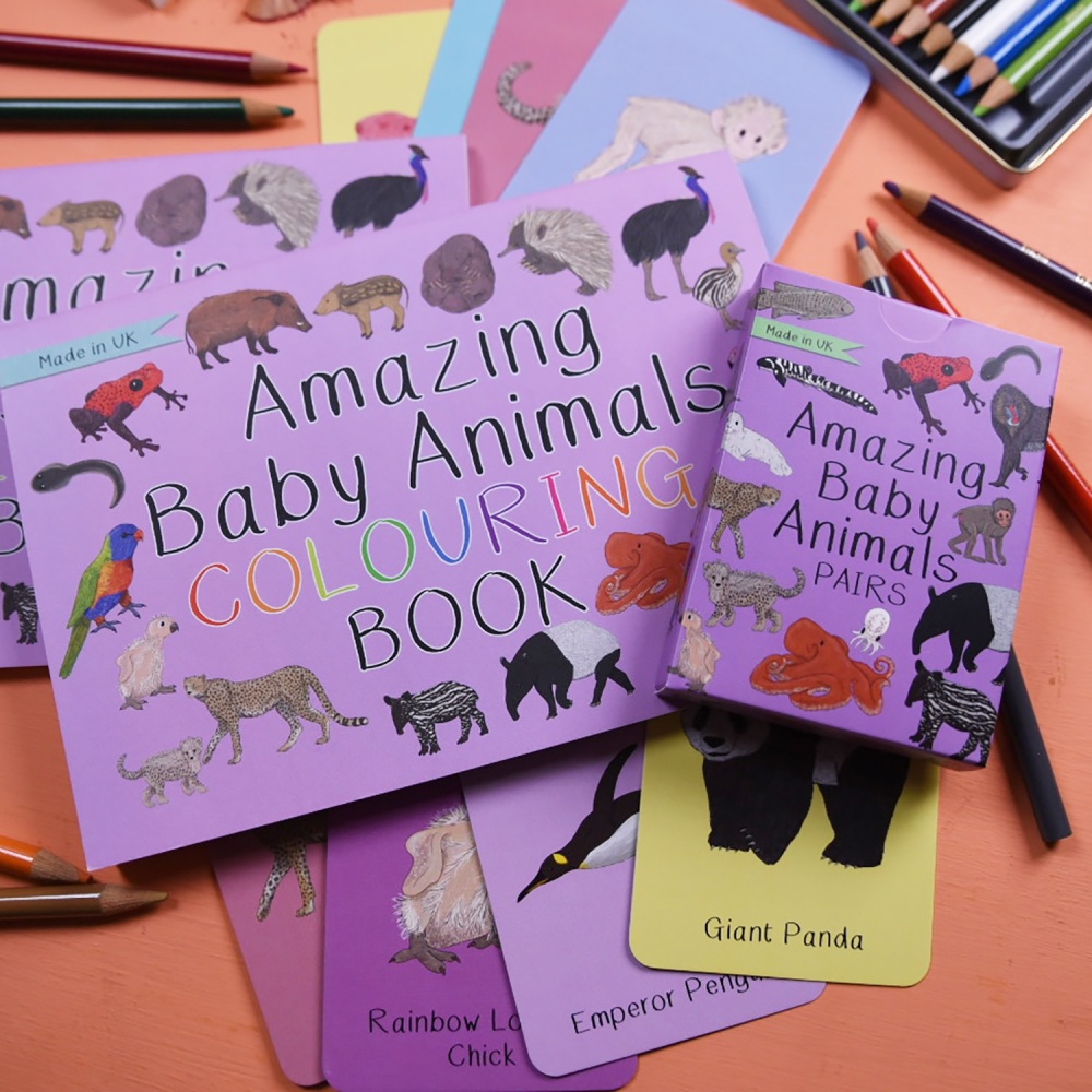 Amazing Baby Animals Pairs Cards and Colouring Book