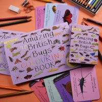 Amazing British Bugs ID Cards and Colouring Book