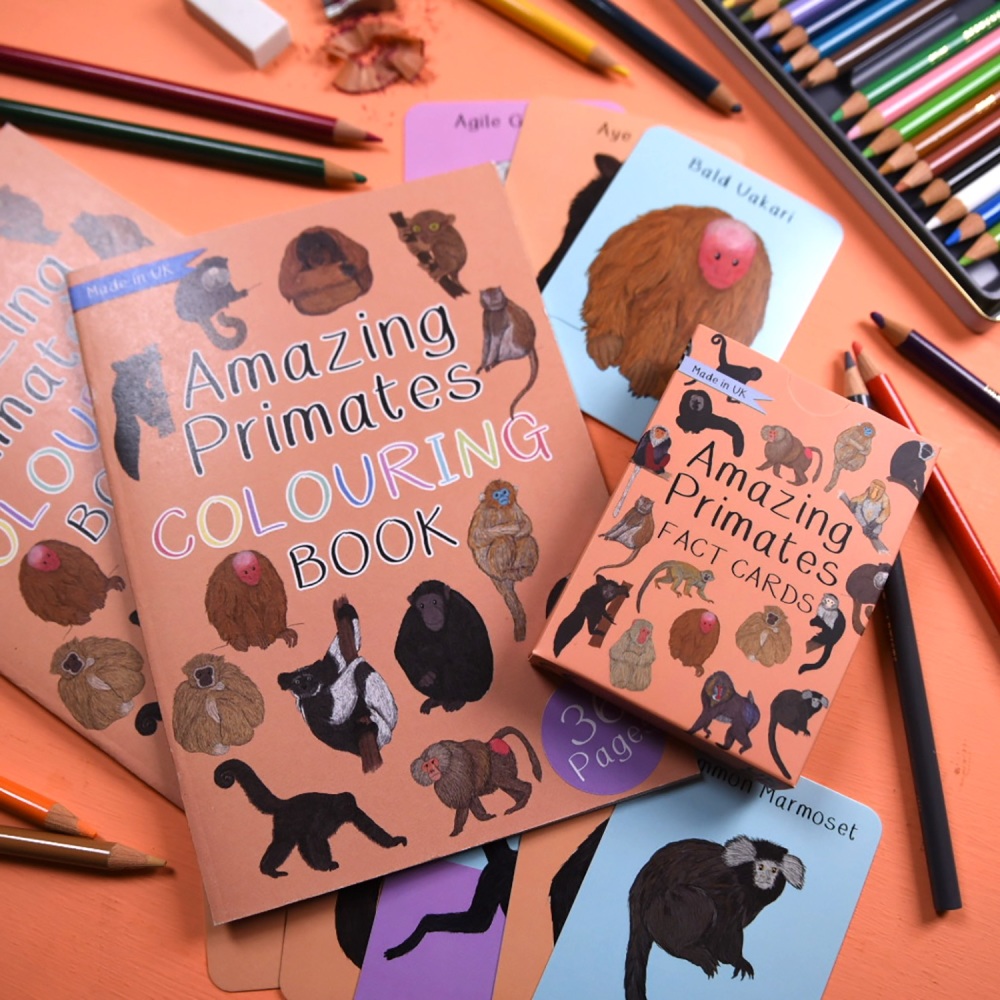 Amazing Primates Fact Cards and Colouring Book