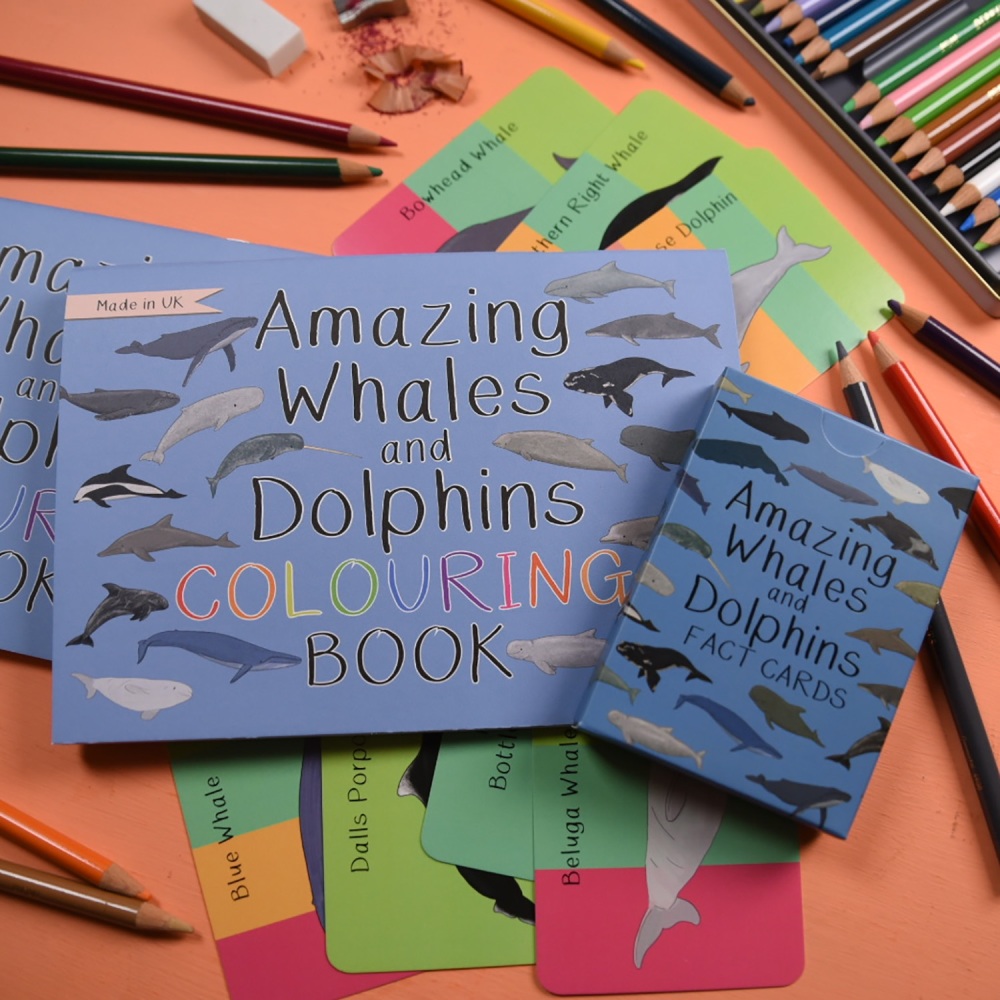Amazing Whales and Dolphins Fact Cards and Colouring Book