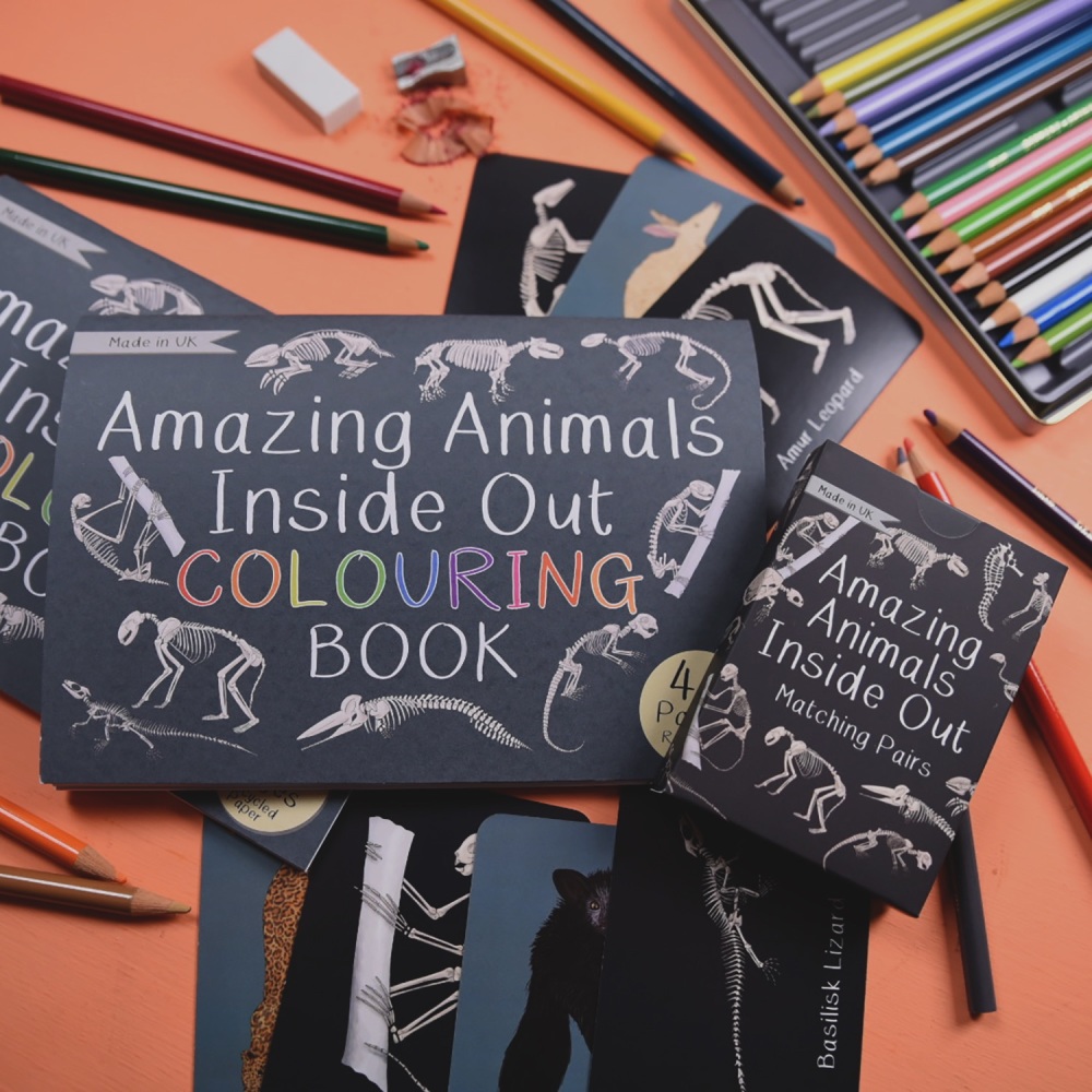 Amazing Animals Inside Out Pairs Card Game and Colouring Book
