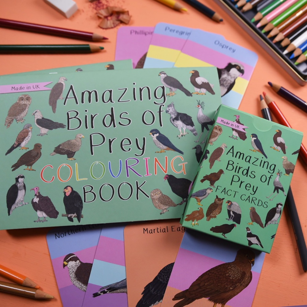 Amazing Birds of Prey Fact Cards and Colouring Book