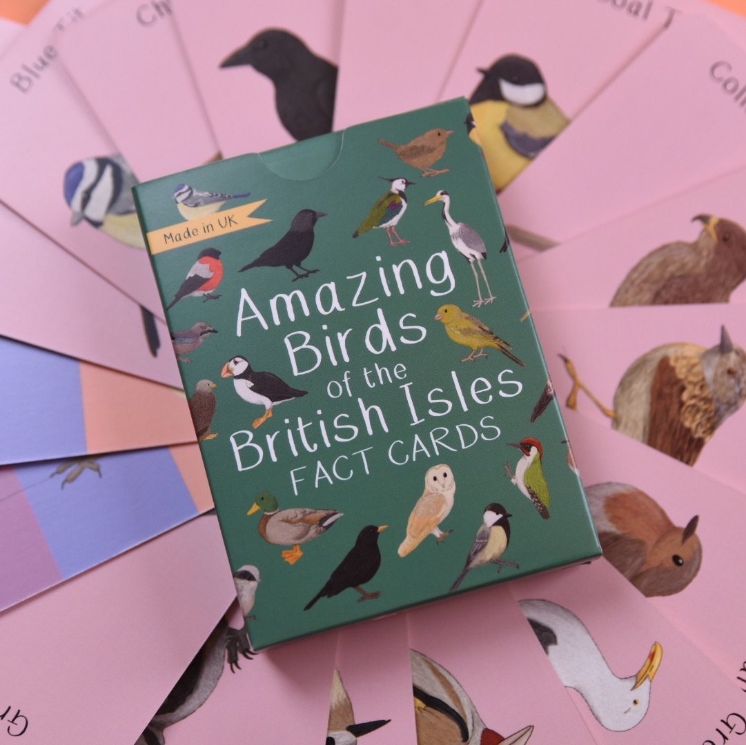 * Preorder * Amazing Birds of the British Isles Fact Cards * Preorder*