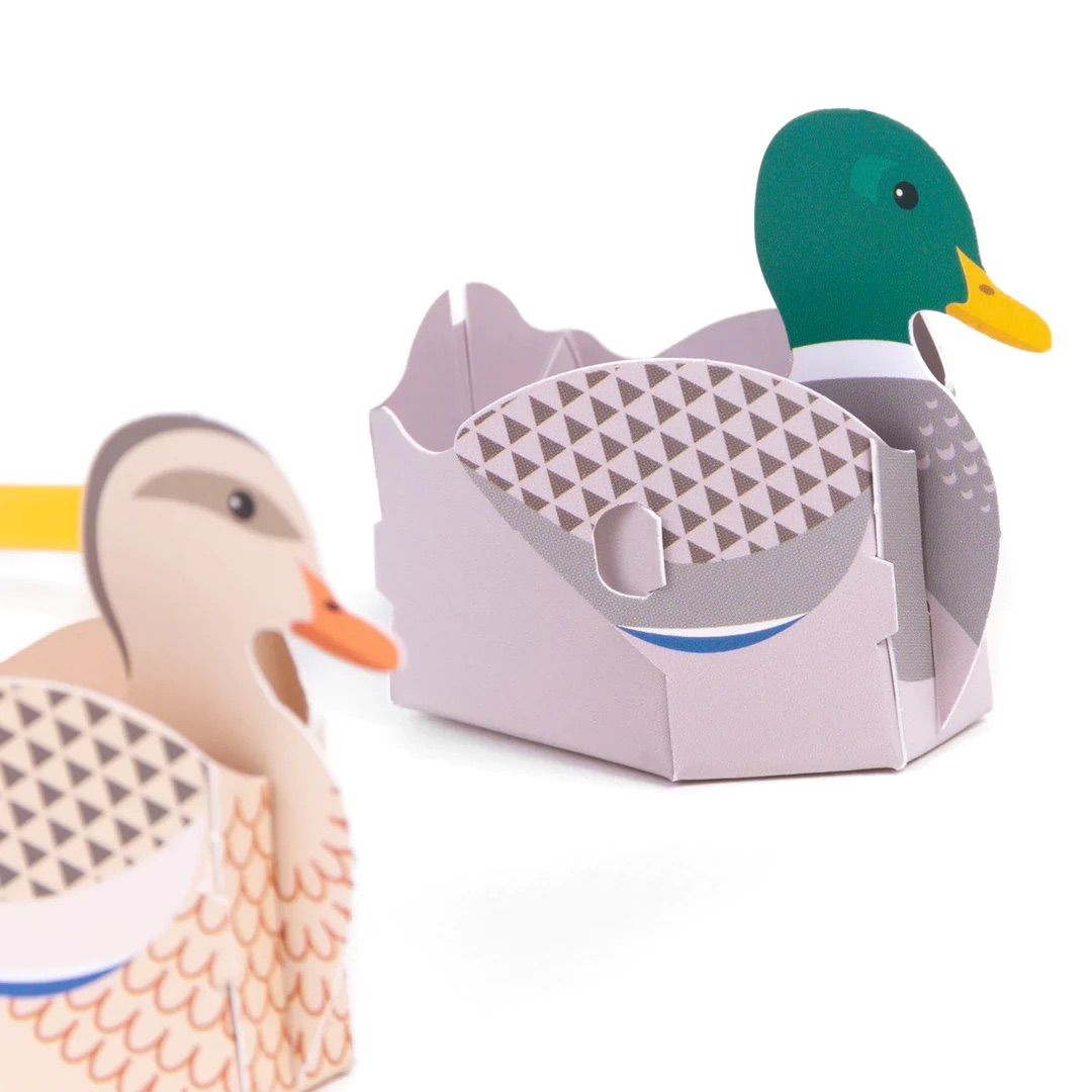 Create Your Own Blow Ducks