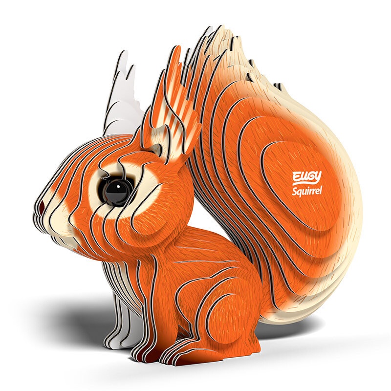 Red Squirrel 3d Model Kit