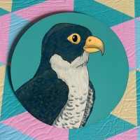 Peregrine Falcon Coaster