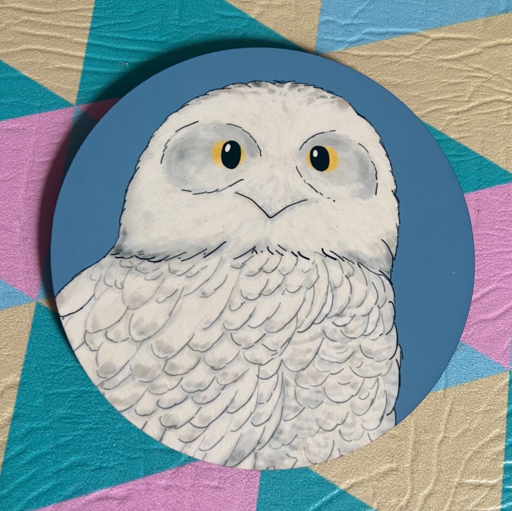 Snowy Owl Coaster