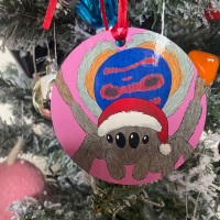 Peacock Spider Christmas Decoration