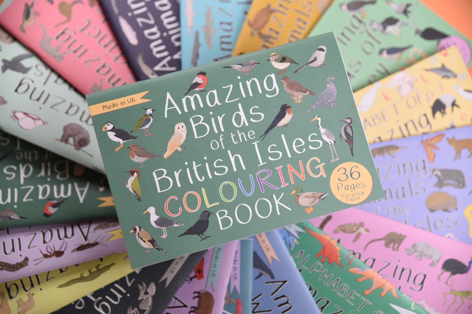 british birds colouring book