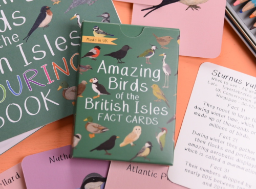 birds of british isles fact cards